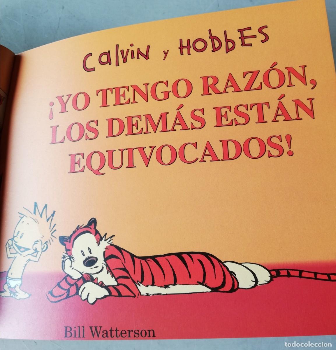 C&oacute;mics: CALVIN Y HOBBES - Foto 2