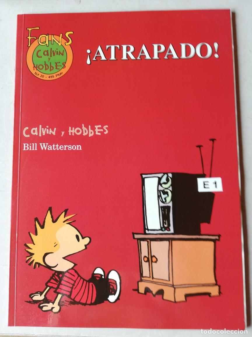 C&oacute;mics: CALVIN Y HOBBES - Foto 11