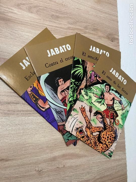 C&oacute;mics: COLECCION COMPLETA DE LOS 4 NUMEROS DE EL JABATO PUBLICADOS EN SUPERCOMICS. EDICIONES B 2003 - Foto 1