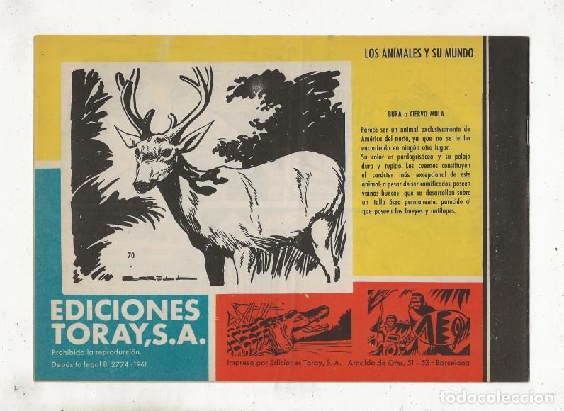 C&oacute;mics: TAMAR N&ordm; 70 - EL GRAN BWANA - ORIGINAL - TORAY 1961 - Foto 2