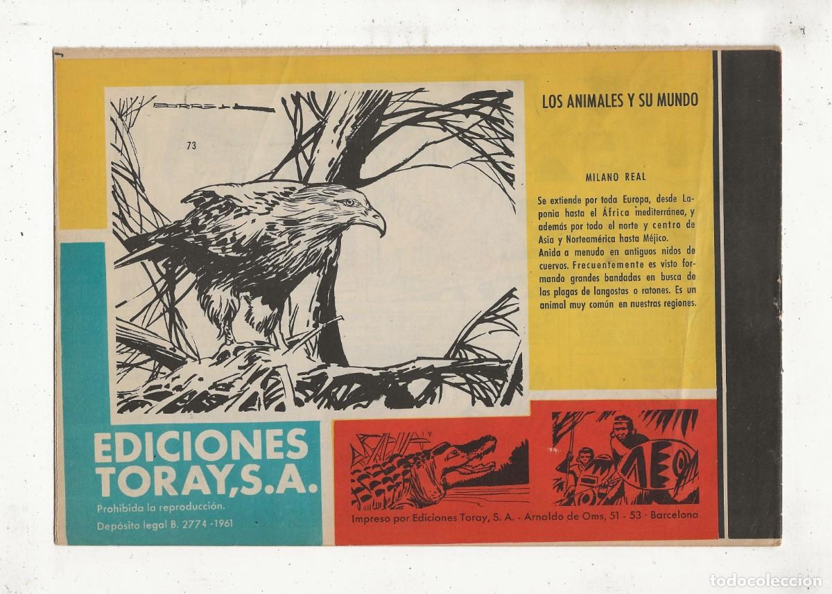 C&oacute;mics: TAMAR N&ordm; 73 - EL POZO DE LA SERPIENTE - TORAY 1961 - Foto 2
