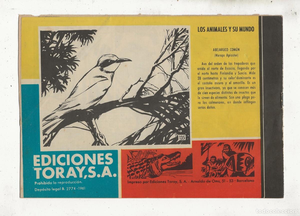 C&oacute;mics: TAMAR N&ordm; 135 - ATRAPADOS - TORAY 1961 - Foto 2