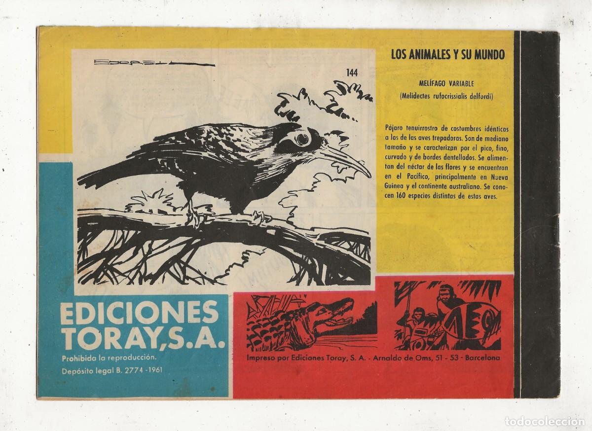 C&oacute;mics: TAMAR N&ordm; 144 - LA &Uacute;LTIMA LECCI&Oacute;N - TORAY 1961 - Foto 2