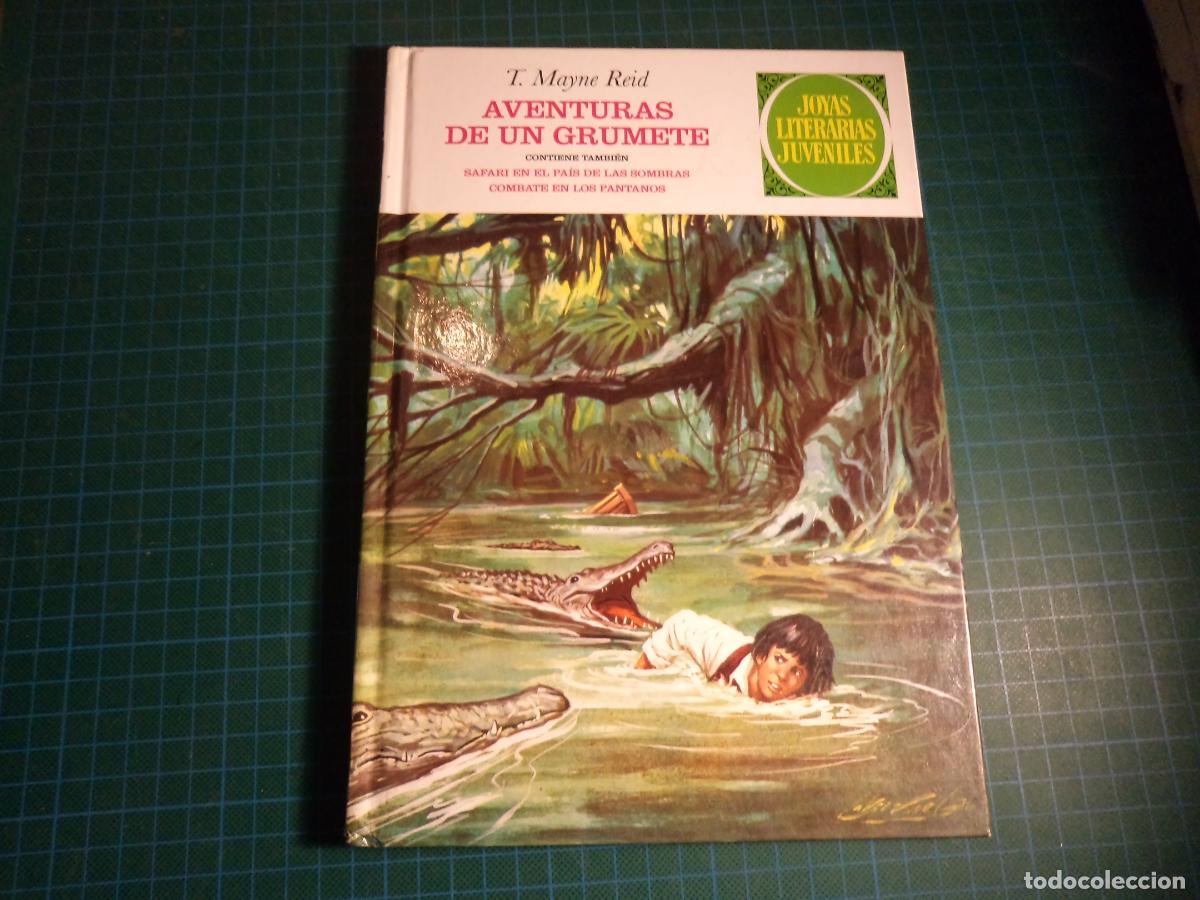 C&oacute;mics: Joyas literarias. Tomo 29. Ediciones B. - Foto 1