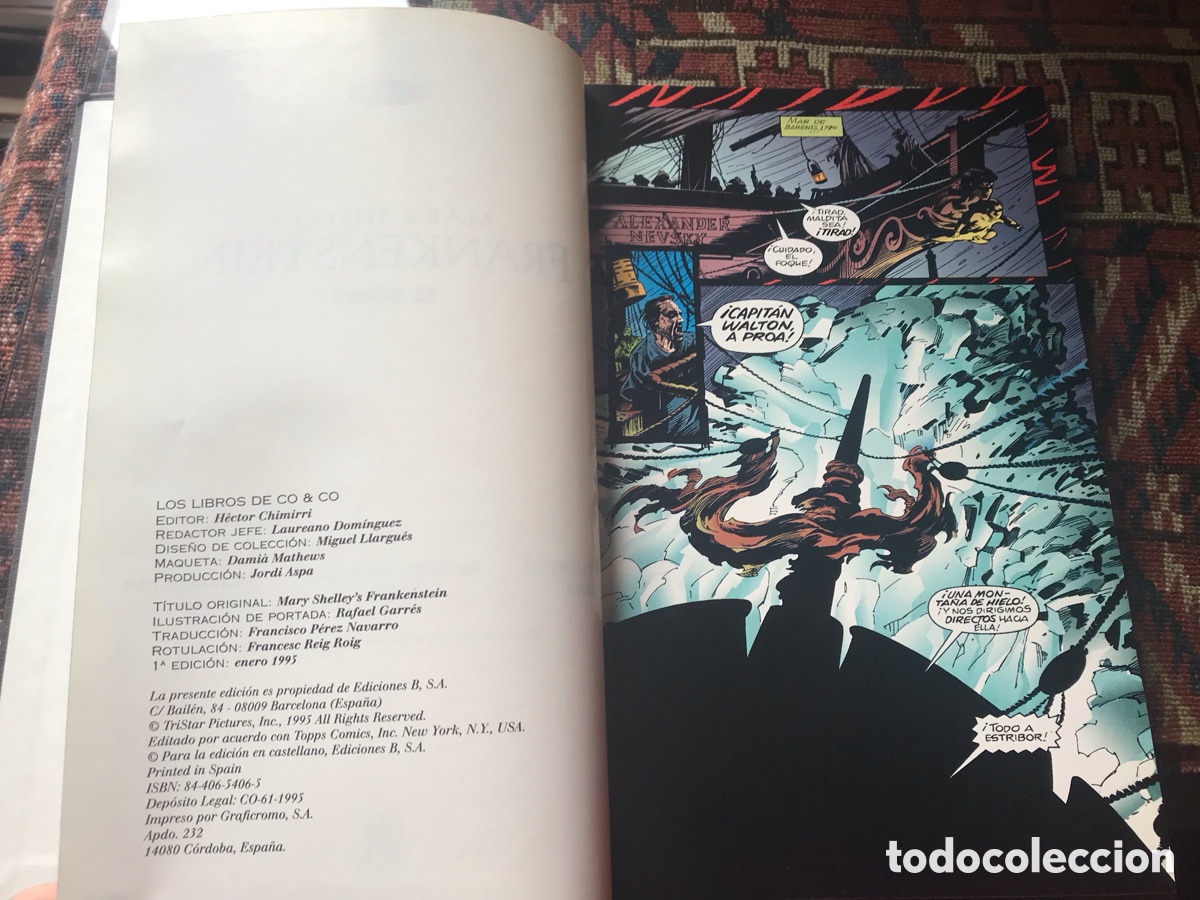 C&oacute;mics: Mary Shelley. Frankenstein. El c&oacute;mic. Ediciones B. Grupo Z. - Foto 5