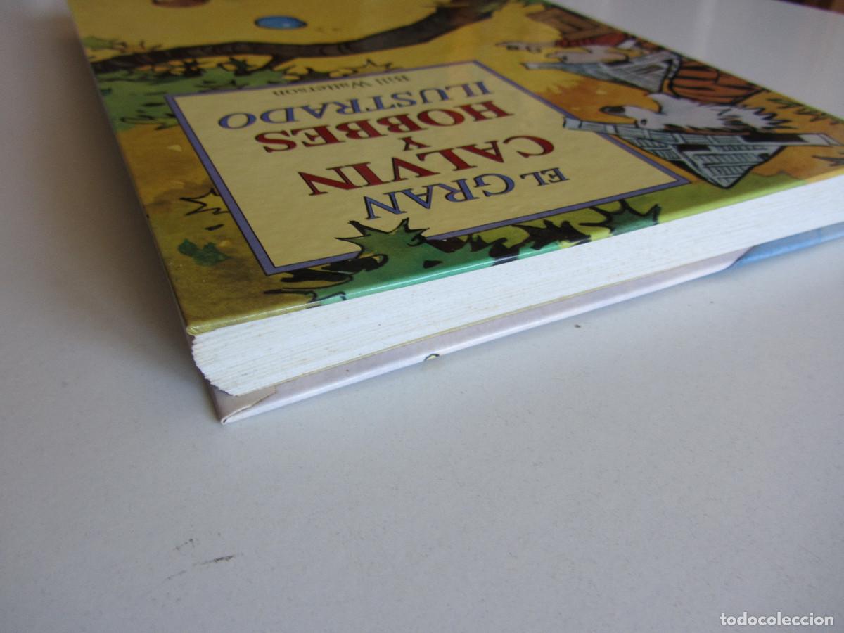 C&oacute;mics: El Gran Calvin y Hobbes ilustrado. Bill Watterson. Ediciones B 2007 - Foto 5
