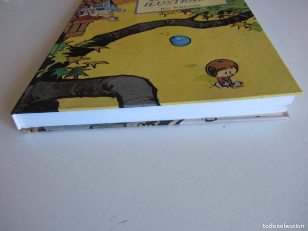 C&oacute;mics: El Gran Calvin y Hobbes ilustrado. Bill Watterson. Ediciones B 2007 - Foto 7