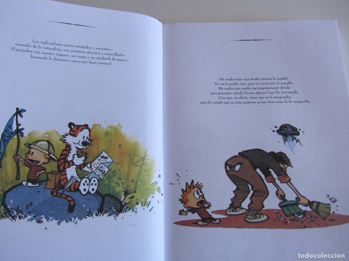 C&oacute;mics: El Gran Calvin y Hobbes ilustrado. Bill Watterson. Ediciones B 2007 - Foto 11