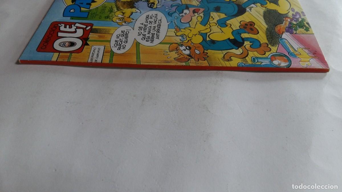 C&oacute;mics: Colecci&oacute;n Ol&eacute;, 393-V. 20, Pafman, Ediciones B - Foto 3