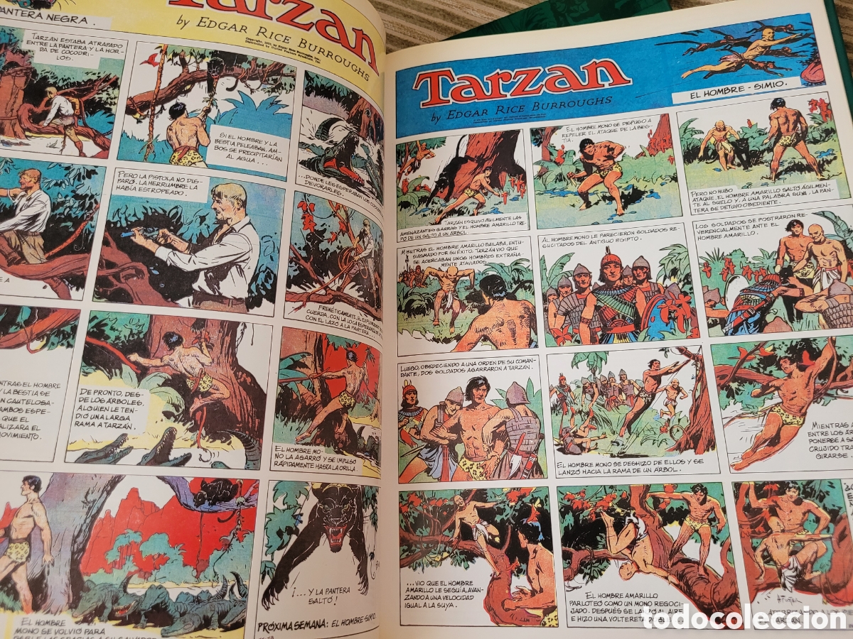 C&oacute;mics: TARZAN, volumenes 1, 2, 3 y 4 - Foto 9