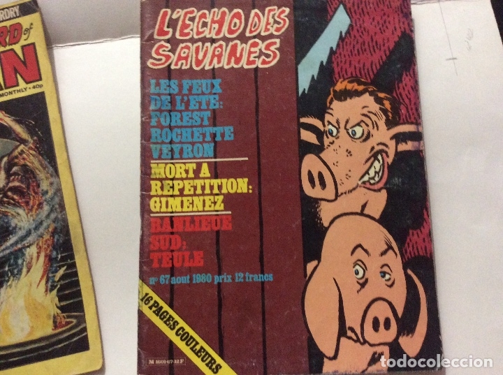 C&oacute;mics: L echo savanes - Foto 1