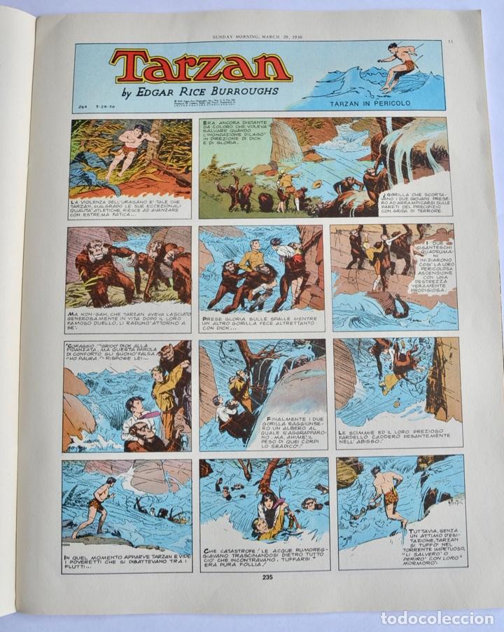 Edgar Rice Burroughs. Tarzan Extra. Dibujos De - Comprar Comics ...