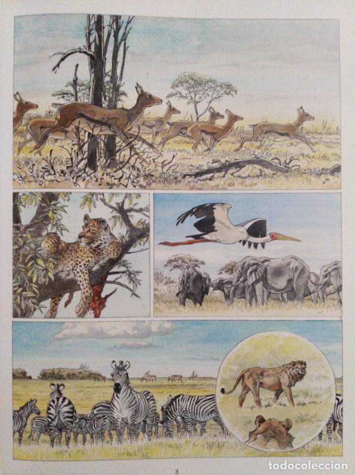 C&oacute;mics: AFRIKA. Hermann. Edici&oacute;n en Italiano. - Foto 4