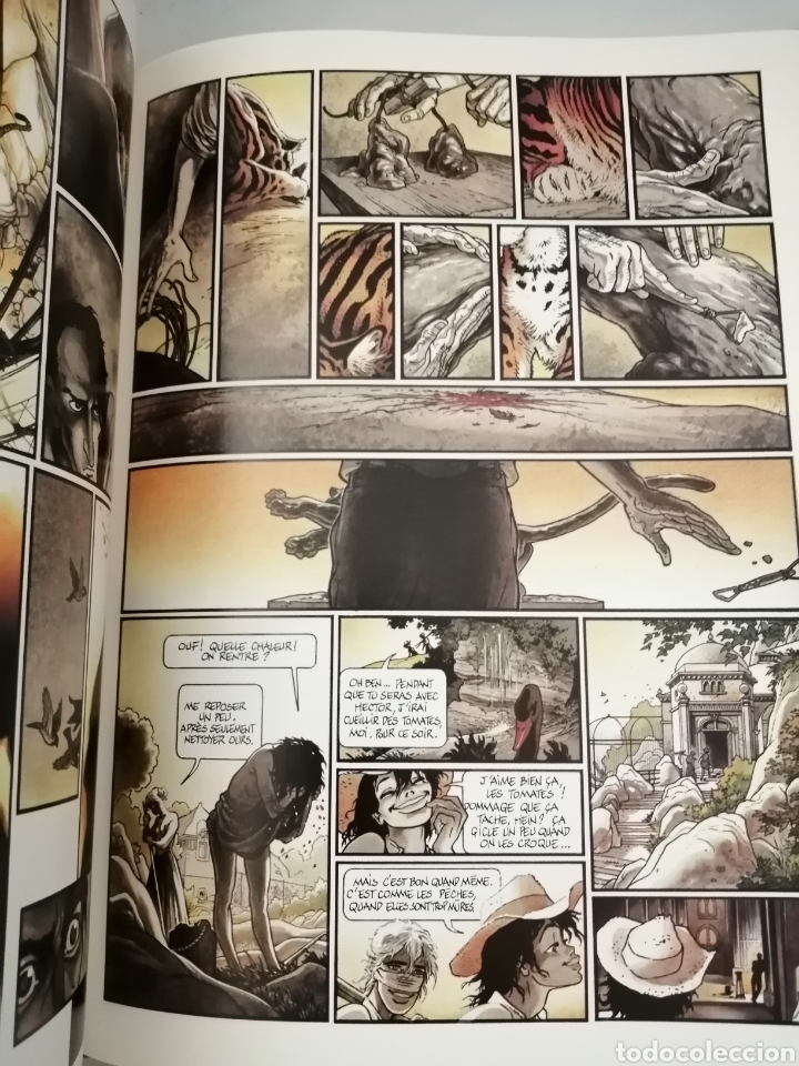 C&oacute;mics: ZOO 1 (PRIMERA EDICI&Oacute;N) AIRE LIBRE - Foto 5