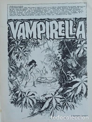 Cómics: VAMPIRELLA Nº 2 - 162 PAGINAS EDICION EN ITALIANO RETAPADO INCLUYE 11 HISTORIAS - AÑO 1978. - Foto 9 - 304102003