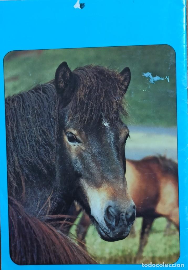 C&oacute;mics: PENNY N&ordm; 2 A&Ntilde;O 1990. - Foto 2