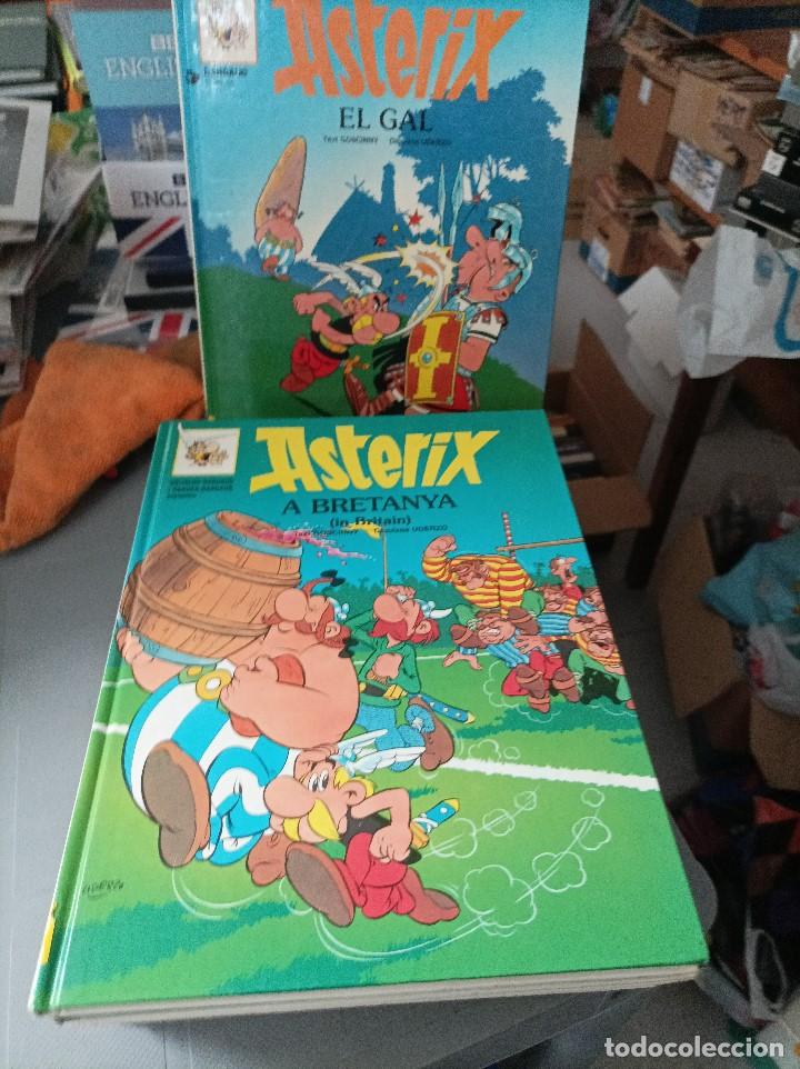 C&oacute;mics: Asterix y obelix, lote en catalan/ingles - Foto 1