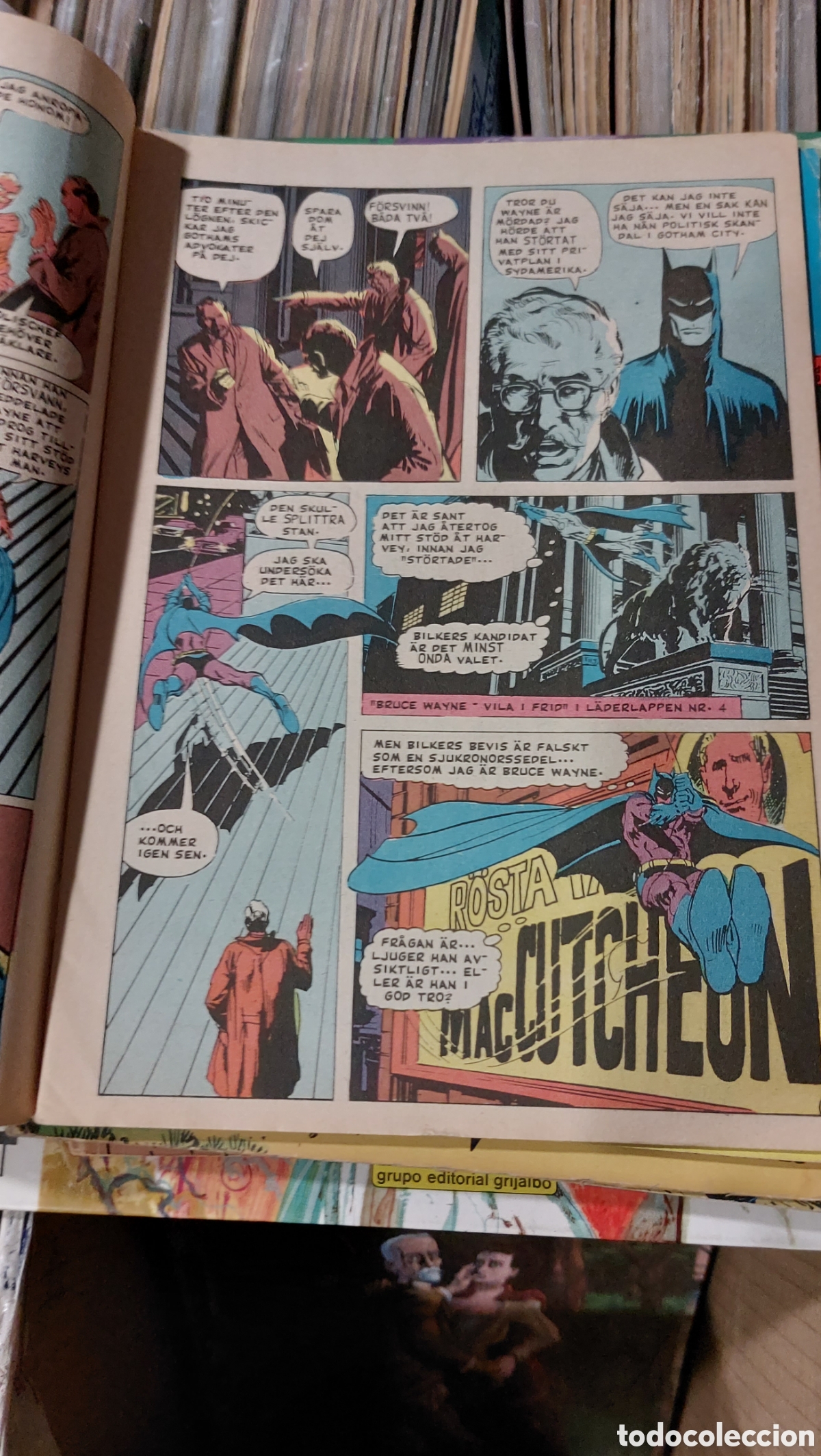 C&oacute;mics: L&auml;derlapen #5 - Foto 2