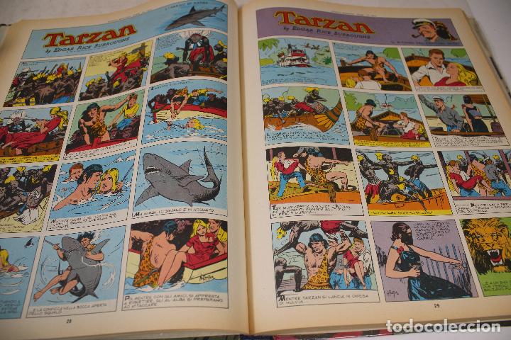 C&oacute;mics: tarzan delle scimmie - c102 - Foto 5