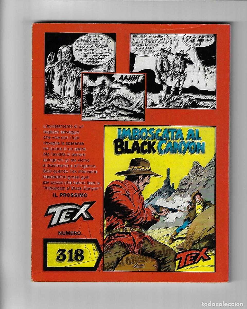 C&oacute;mics: Sergio Bonelli. Fumetti. Tex. 317 - Foto 2