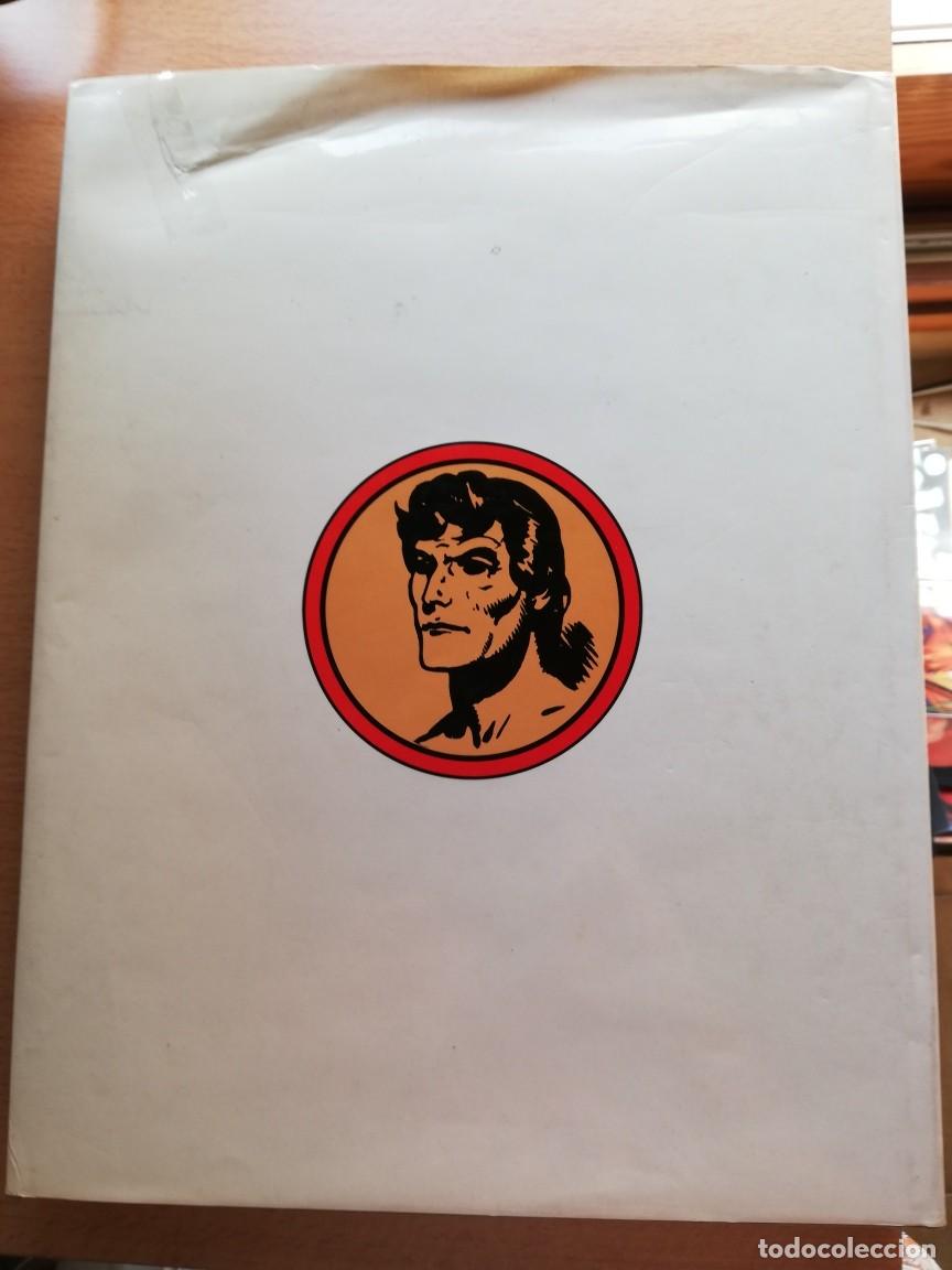 C&oacute;mics: TARZAN SEIGNEUR DE LA JUNGLE - Foto 2
