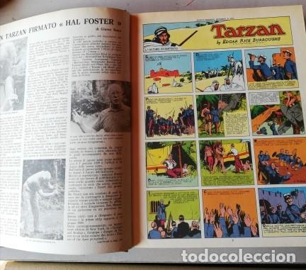 C&oacute;mics: TARZAN EXTRA - Foto 8
