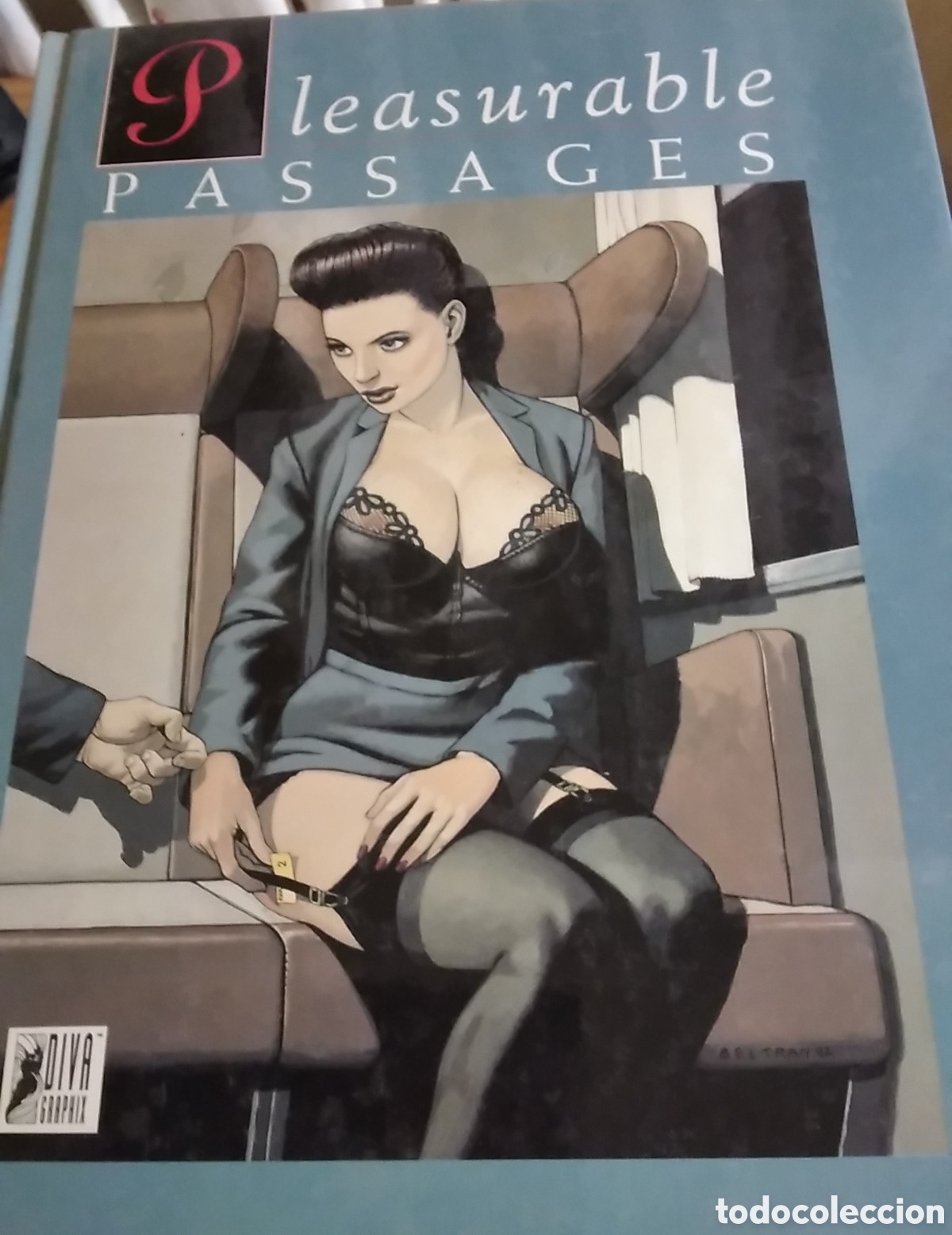 C&oacute;mics: Pleasurable passages comic franc&eacute;s edita diva graphic - Foto 1