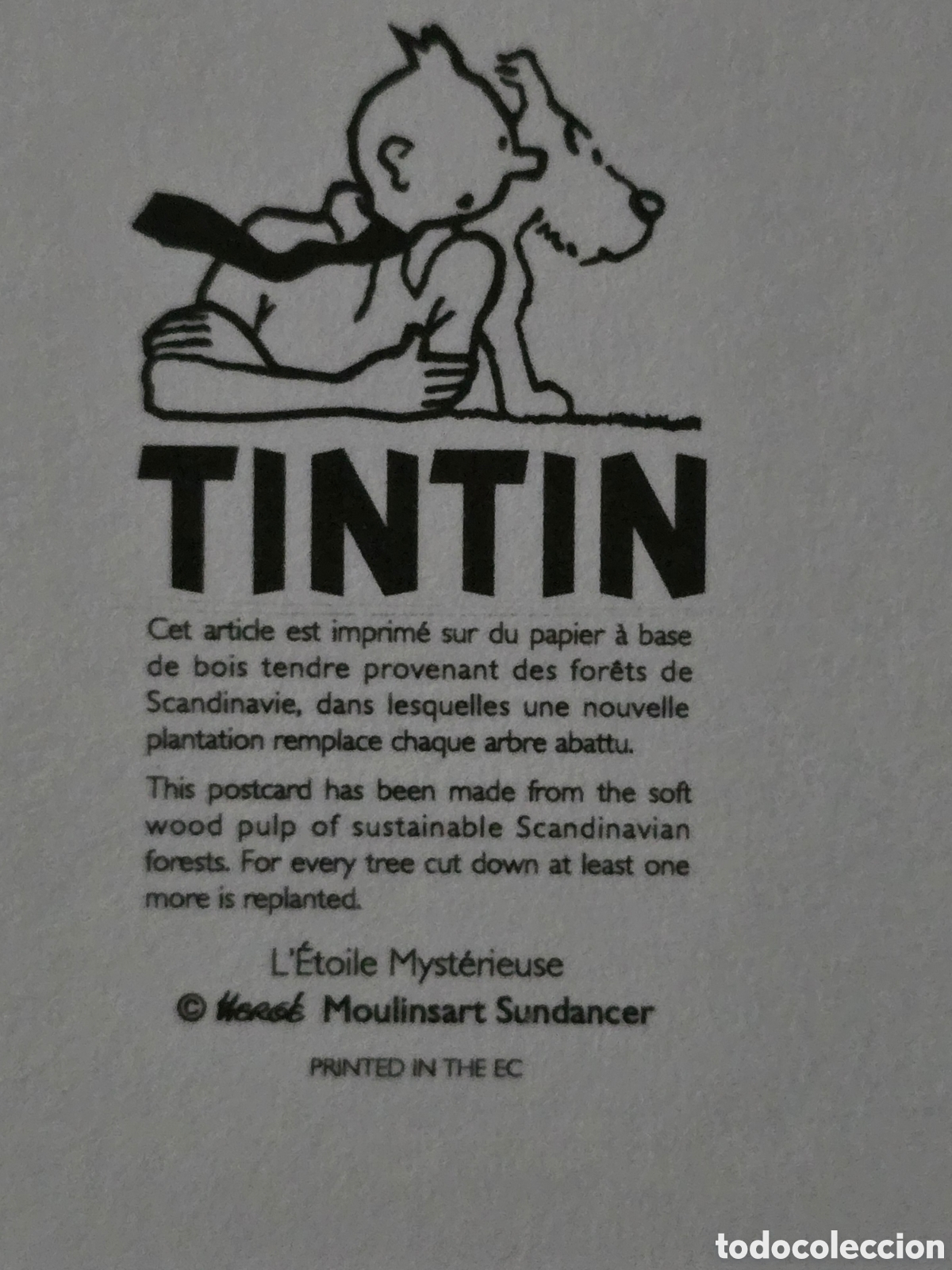 C&oacute;mics: TINTIN HERG&Eacute; EL TEMPLO DEL SOL NUEVO - Foto 3