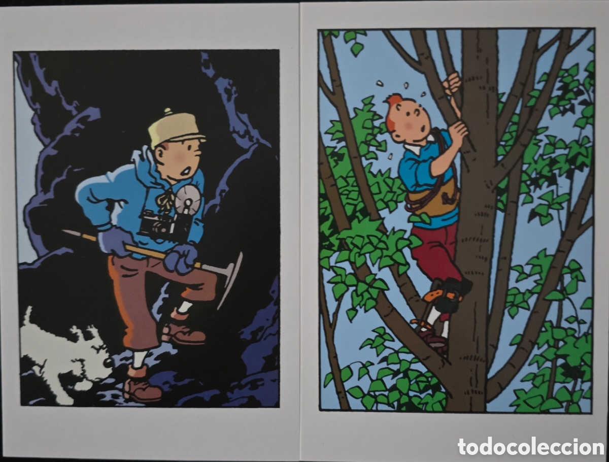 C&oacute;mics: TINTIN HERG&Eacute; EL TEMPLO DEL SOL NUEVO - Foto 12