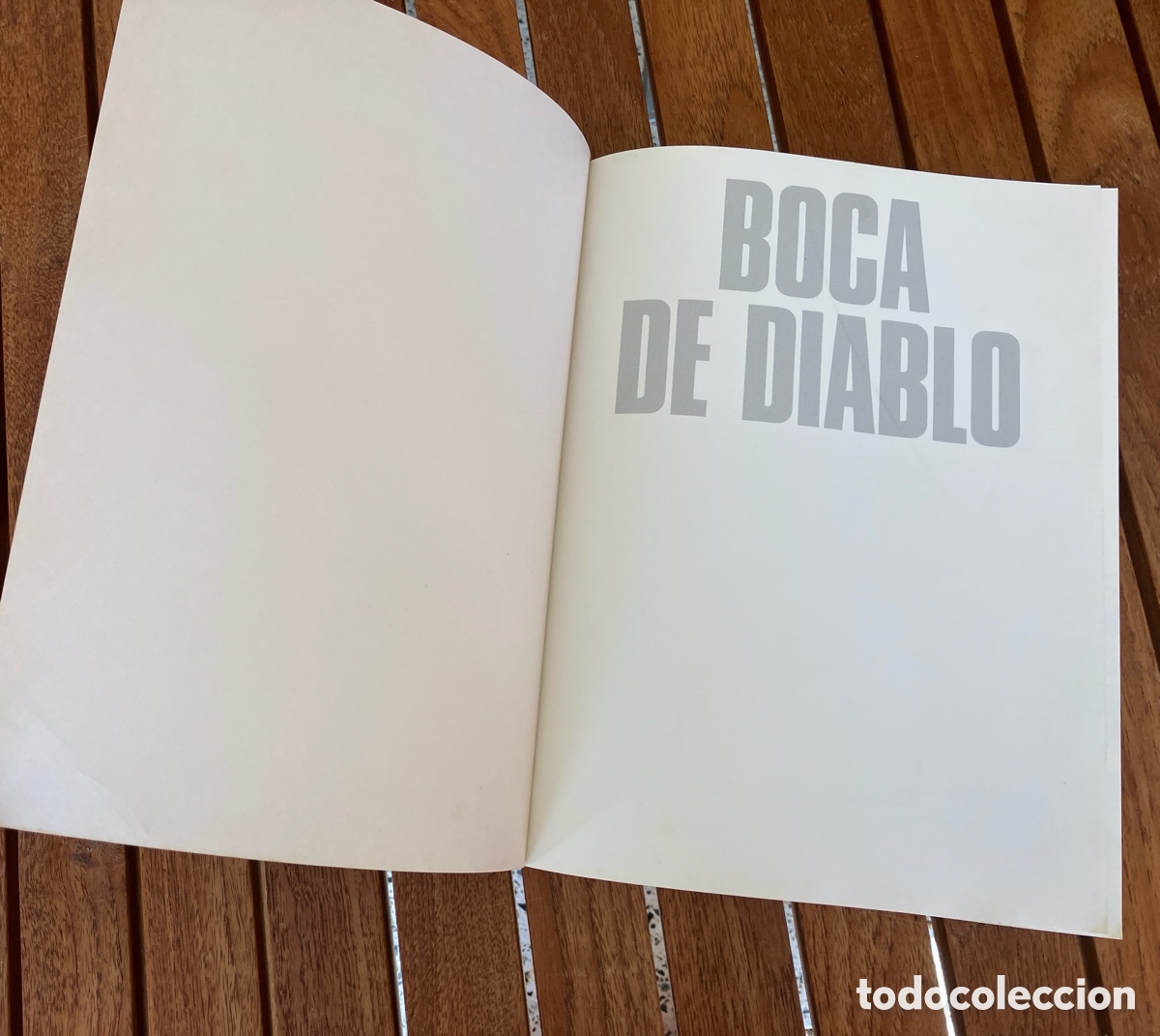C&oacute;mics: Boca de diablo Charyn Boucq 1991 - Foto 3
