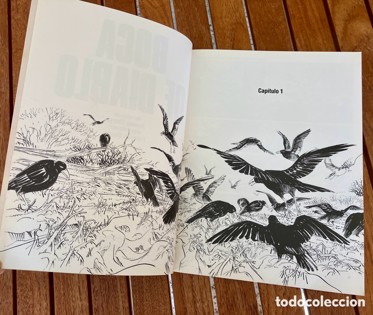 C&oacute;mics: Boca de diablo Charyn Boucq 1991 - Foto 5