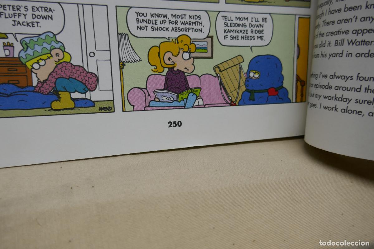 C&oacute;mics: FOXTROT CAMP FOXTROT, de Bill Amend (en Ingl&eacute;s ) - Foto 25