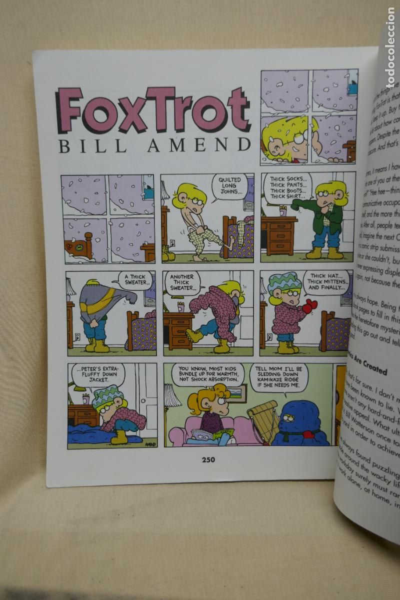 C&oacute;mics: FOXTROT CAMP FOXTROT, de Bill Amend (en Ingl&eacute;s ) - Foto 26