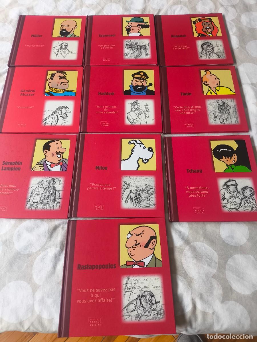 C&oacute;mics: Tintin. 10 libros de personajes. Coleccionistas