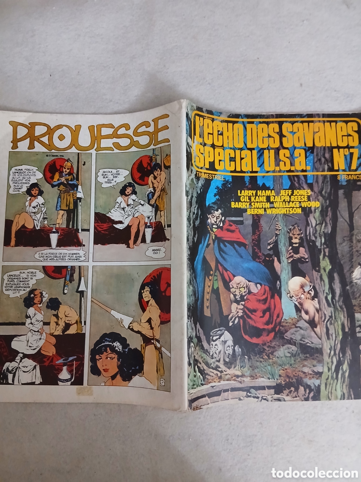 C&oacute;mics: L'echo des savanes comics francia