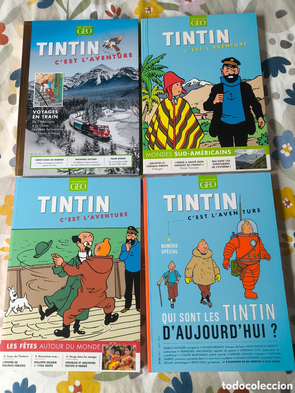 Comics : Tintin. 4 tomos C'est l'aventure Geo a estrenar (50% descuento)