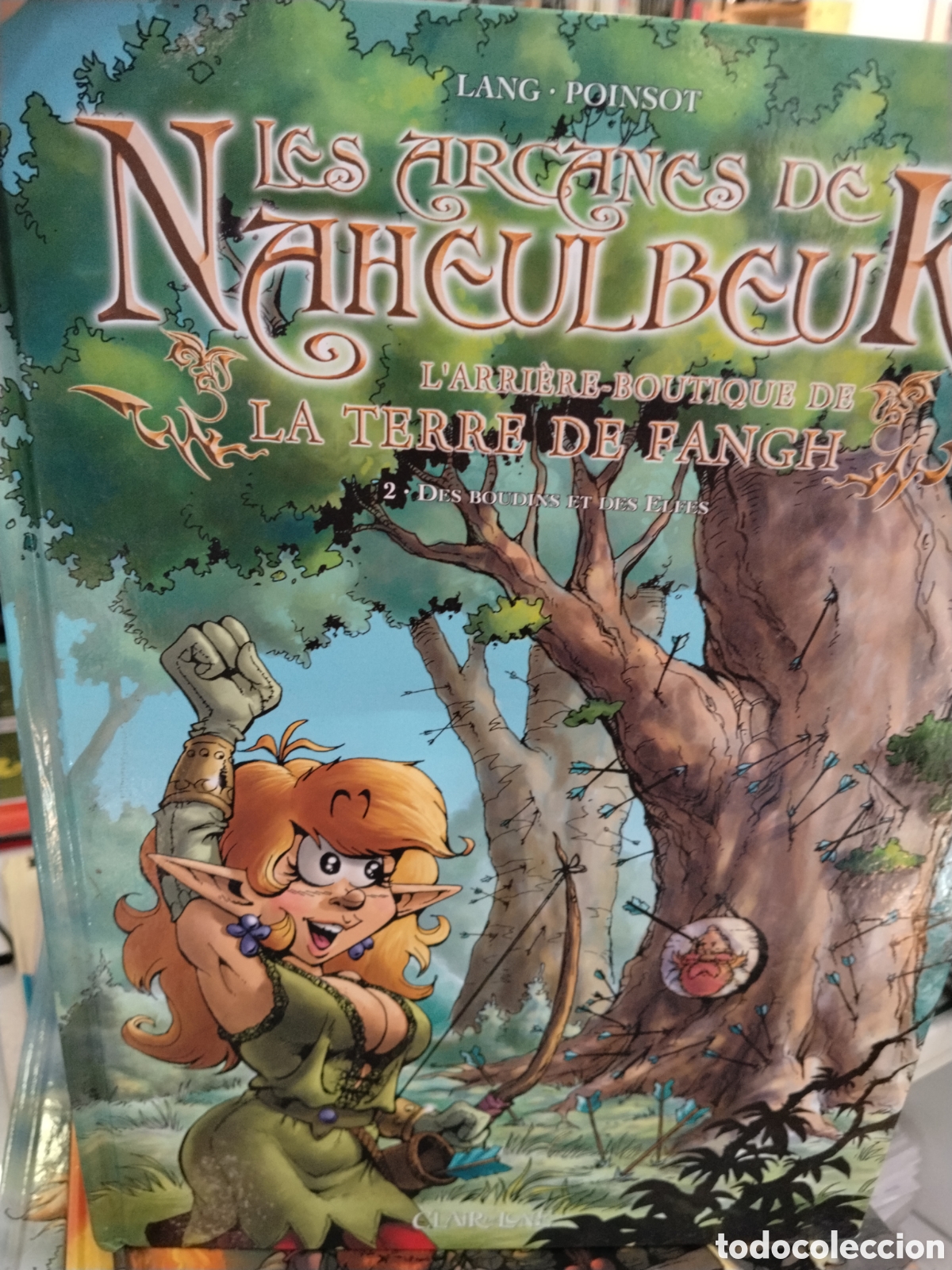 Comics: Les arcanes de Naeulbeuk. Tome 2