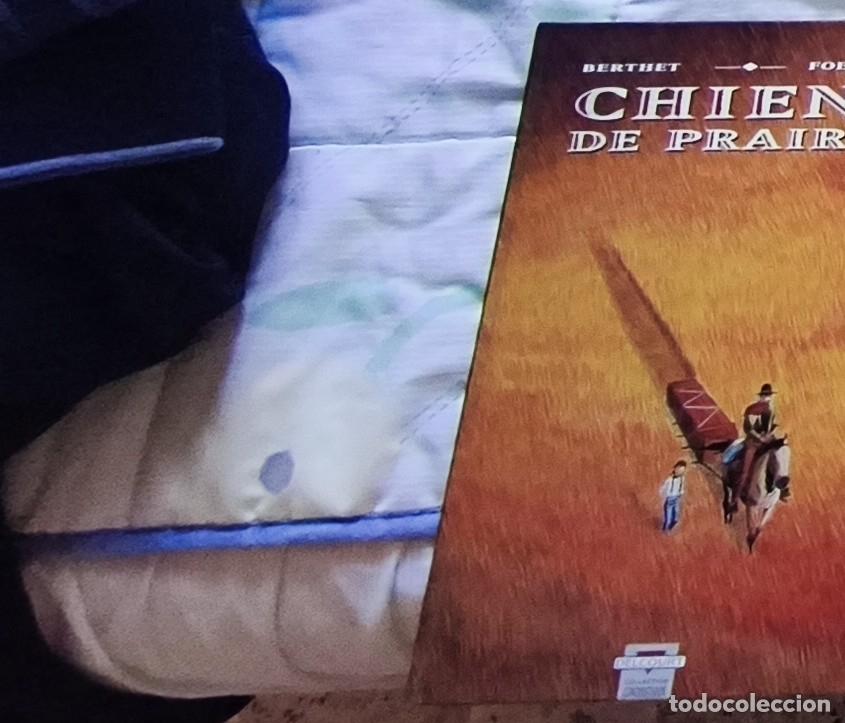 C&oacute;mics: Chiens de Prairie