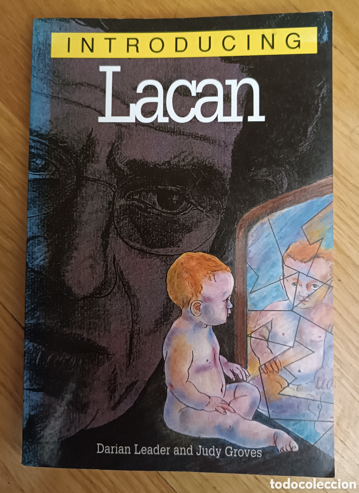 C&oacute;mics: Intoducing: Lacan (Libro-c&oacute;mic)