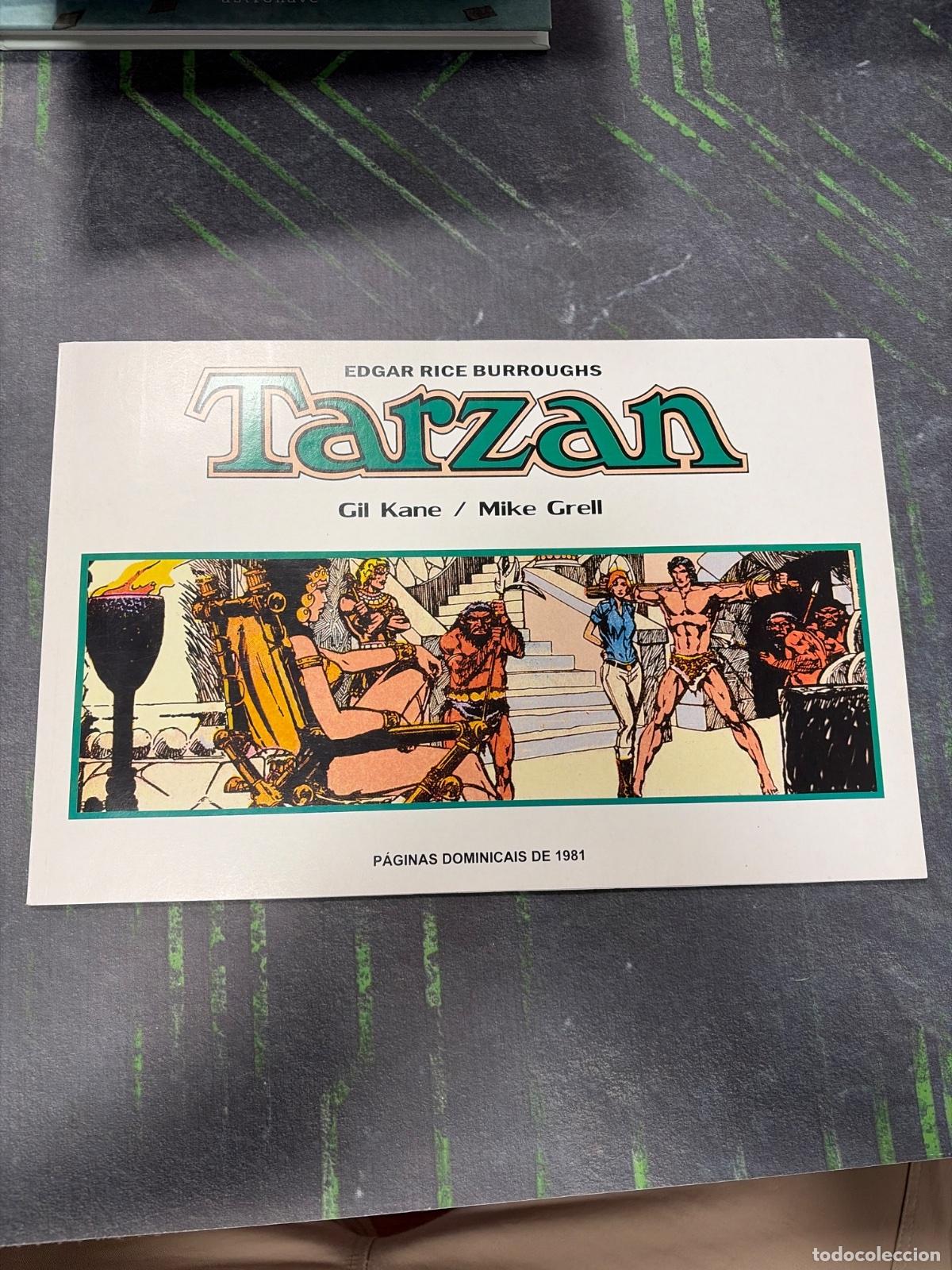 C&oacute;mics: Paginas Dominicais de 1981 | Tarzan