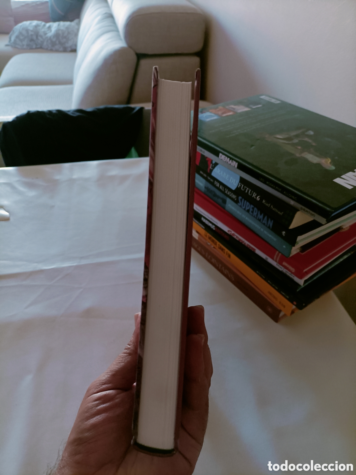C&oacute;mics: Comic, Furieuse,Dargaud,En Franc&eacute;s - Foto 5