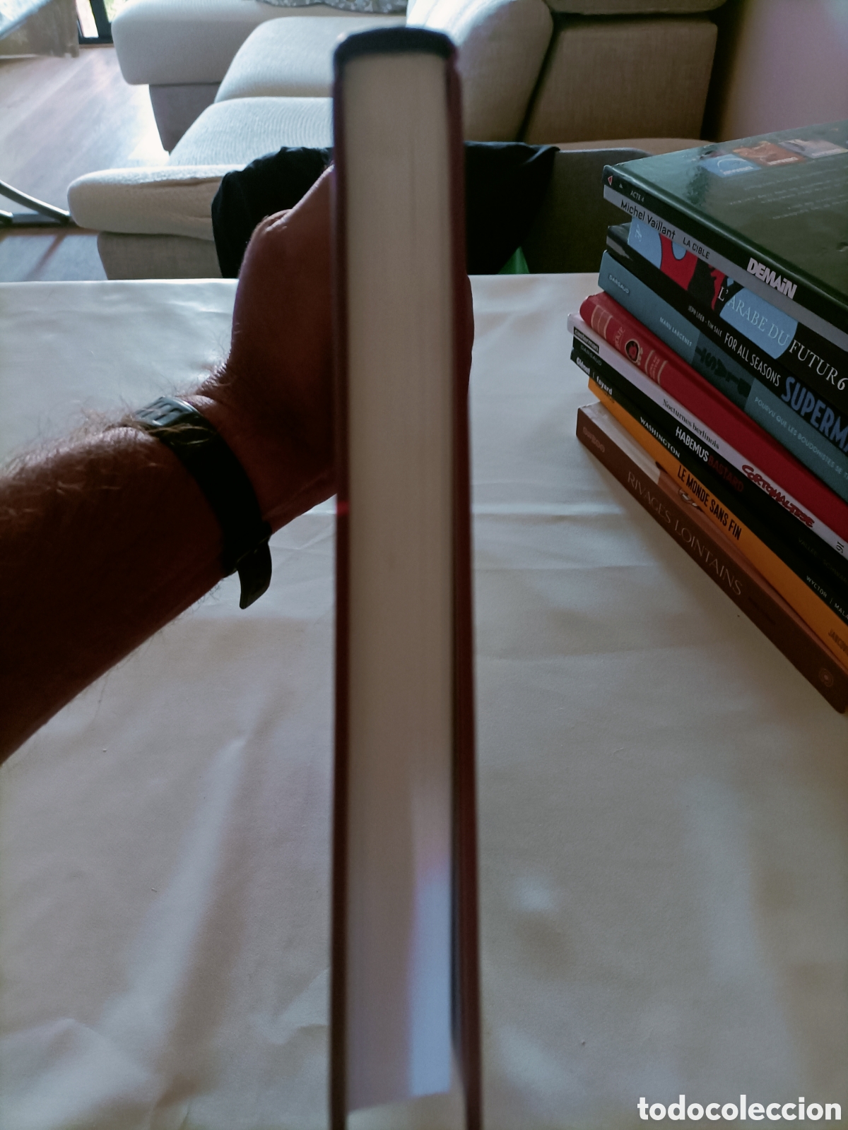 C&oacute;mics: Comic, Furieuse,Dargaud,En Franc&eacute;s - Foto 6
