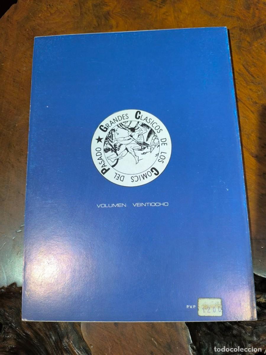 C&oacute;mics: TARZAN N&ordm; 6. EDICION J. ESTEVE. DIBUJOS BURNE HOGARTH 1982 - Foto 2