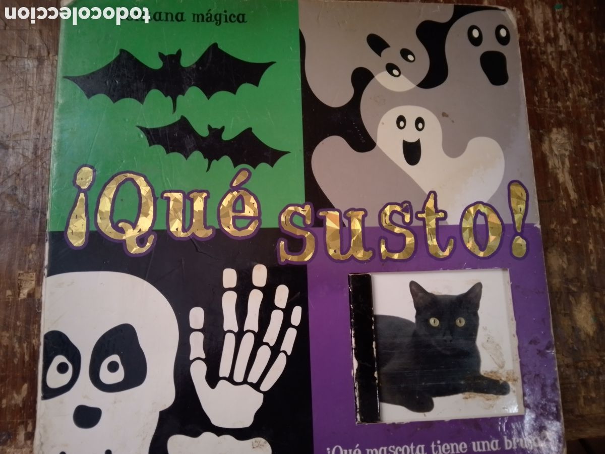 C&oacute;mics: QUE SUSTO! VENTANA MAGICA. QUE MASCOTA TIENE UNA BRUJA?. MACMILLAN. 2011