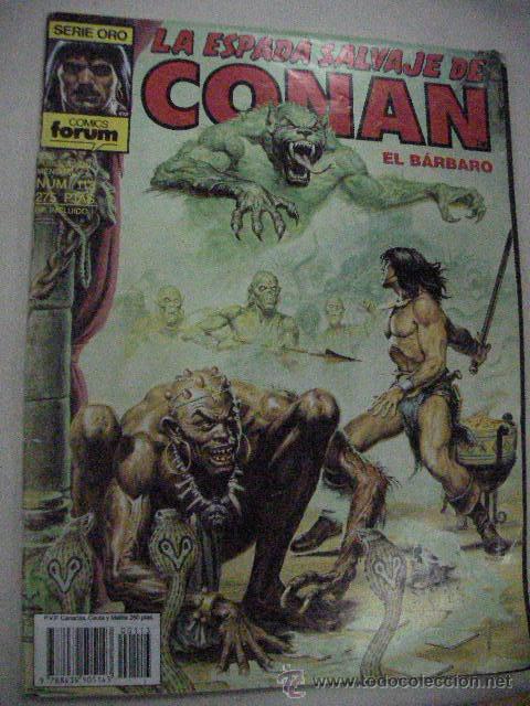 C&oacute;mics: LA ESPADA SALVAJE DE CONAN EL BARBARO N&ordm;  113 DE FORUM - Foto 1