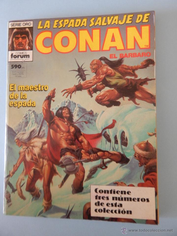 C&oacute;mics: LA ESPADA SALVAJE DE CONAN EL BARBARO - Foto 1