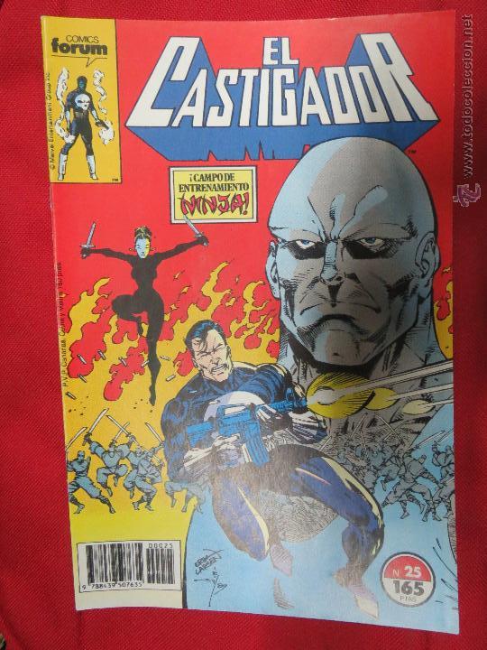 C&oacute;mics: EL CASTIGADOR FORUM N&ordm; 25. - Foto 1