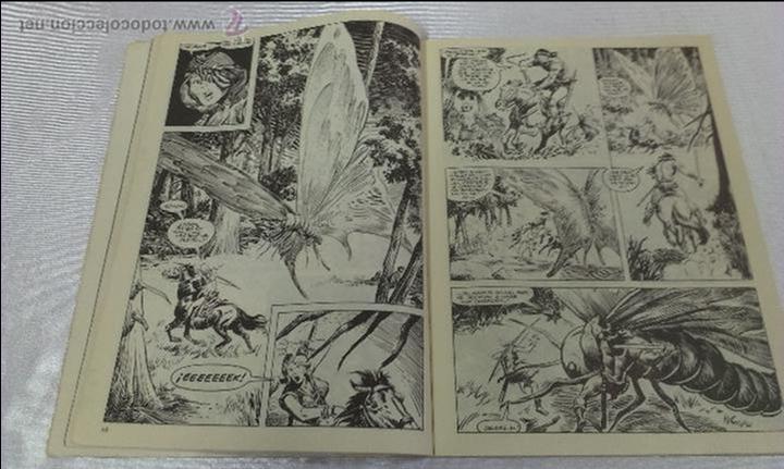 C&oacute;mics: LA ESPADA SALVAJE DE CONAN . EL PAJARO DIAMANTE - Foto 4