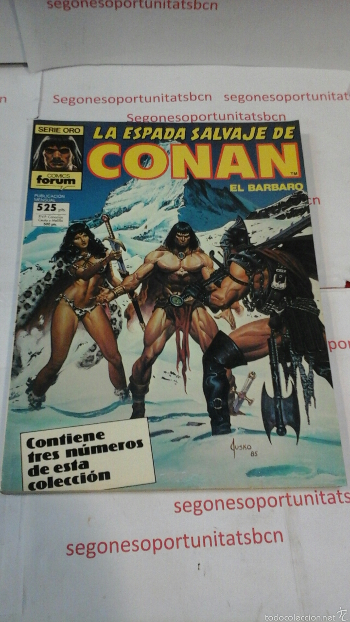 C&oacute;mics: LA ESPADA SALVAJE DE CONAN - SERIE ORO -FORUM - Foto 1