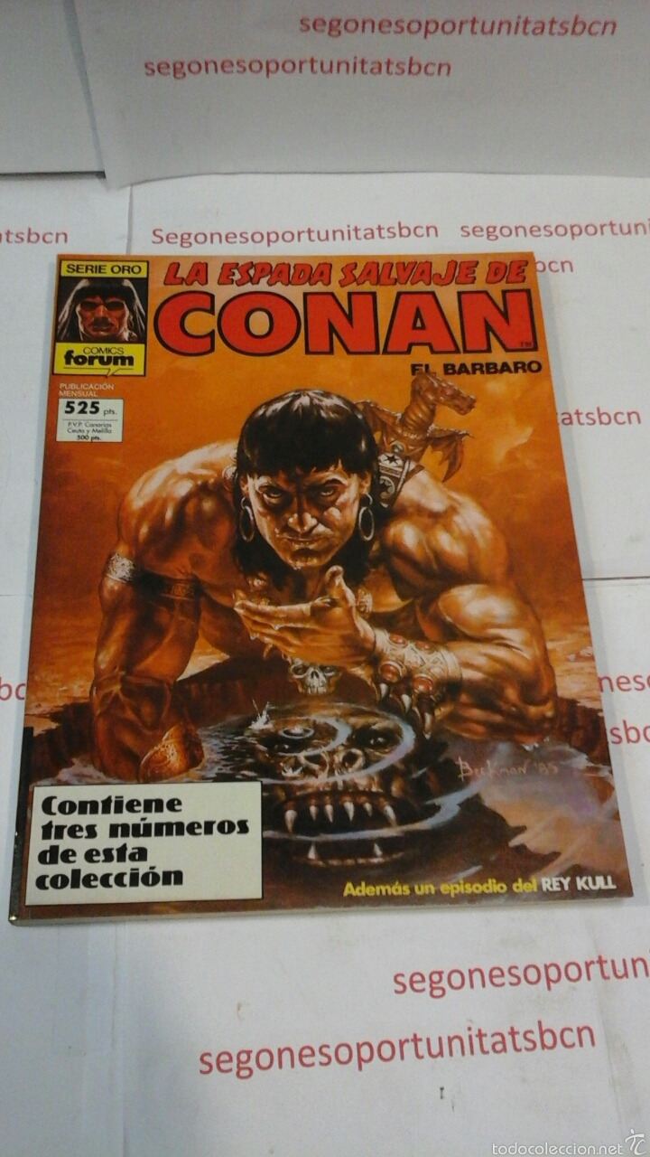 C&oacute;mics: LA ESPADA SALVAJE DE CONAN - SERIE ORO -FORUM - Foto 1